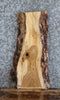 Thumbnail for Live Edge White Oak Side Table Top/Taxidermy Mount Slab 14751
