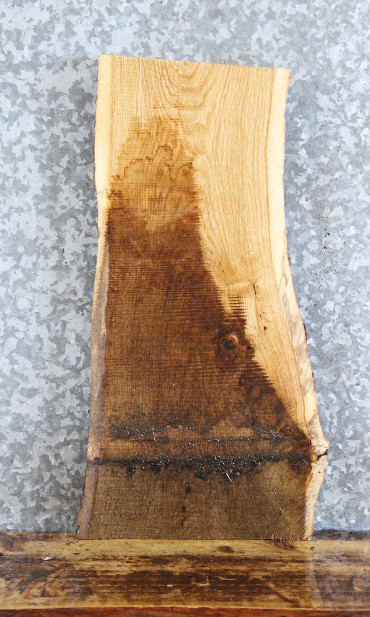 Live Edge White Oak Side Table Top/Taxidermy Mount Slab 14751