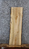 Thumbnail for Spalted Maple Live Edge Charcuterie/Shelf Slab 1475