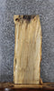 Thumbnail for Spalted Maple Live Edge Shelf/End Table Slab 1476