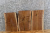 Thumbnail for 3- Live Edge Black Walnut Taxidermy Mount/End Table Top Slabs 14772-14774