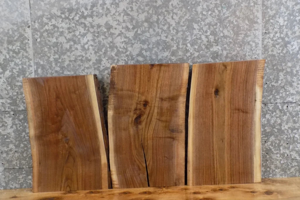 3- Live Edge Black Walnut Taxidermy Mount/End Table Top Slabs 14772-14774