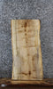 Thumbnail for Spalted Maple Live Edge Charcuterie/End Table Slab 1477