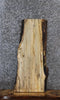 Thumbnail for Spalted Maple Live Edge Shelf/End Table Slab 1478