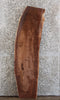 Thumbnail for Live Edge Black Walnut Sofa/Coffee/Side Table 1481