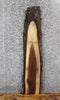 Thumbnail for Live Edge Black Walnut Side/Console Table Top Slab 1485