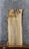 Thumbnail for Spalted Maple Live Edge Bench/Coffee Table Slab 1486