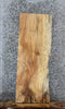 Thumbnail for Spalted Maple Live Edge End Table/Shelf Slab 1487