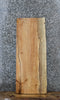 Thumbnail for Spalted Maple Live Edge Shelf/End Table Slab 1489