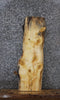 Thumbnail for Live/Natural Edge Pine Charcuterie/Taxidermy Slab 1490