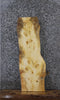 Thumbnail for Live/Natural Edge Pine Charcuterie/Taxidermy Slab 1490