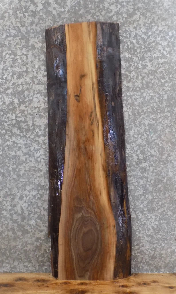 Live Edge Black Walnut Mantle/Coffee/Accent Table Top Slab 1491