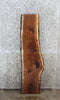 Thumbnail for Walnut Live Edge Shelf/Taxidermy Slab 1492
