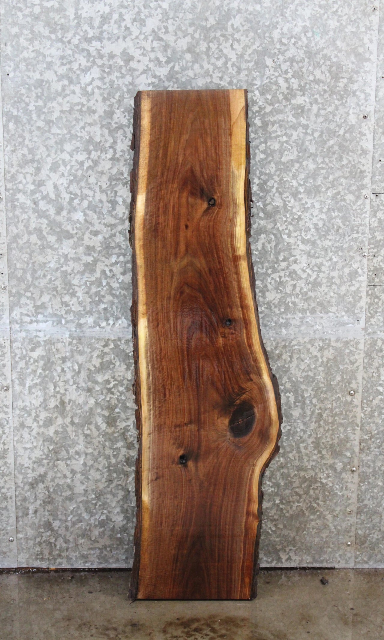 Walnut Live Edge Shelf/Taxidermy Slab 1492