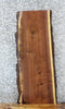 Thumbnail for Live Edge Black Walnut Side/Console Table Top Slab 1493