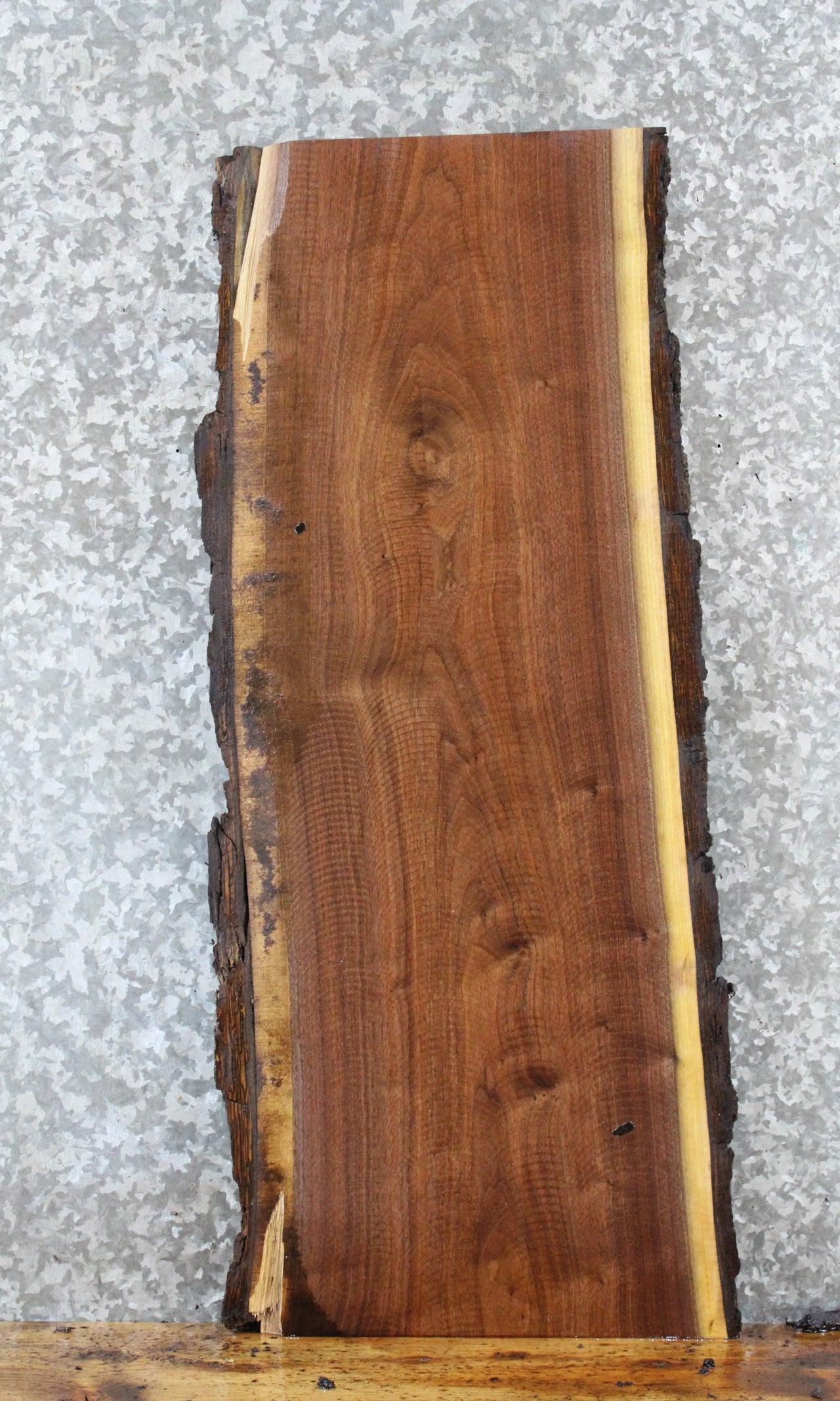Live Edge Black Walnut Side/Console Table Top Slab 1493