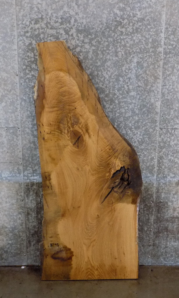 White Oak Live Edge Desk/Coffee Table Top Slab CLOSEOUT 14