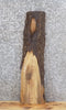 Thumbnail for Live Edge Black Walnut Salvaged Bar Top/Mantle Slab 1502