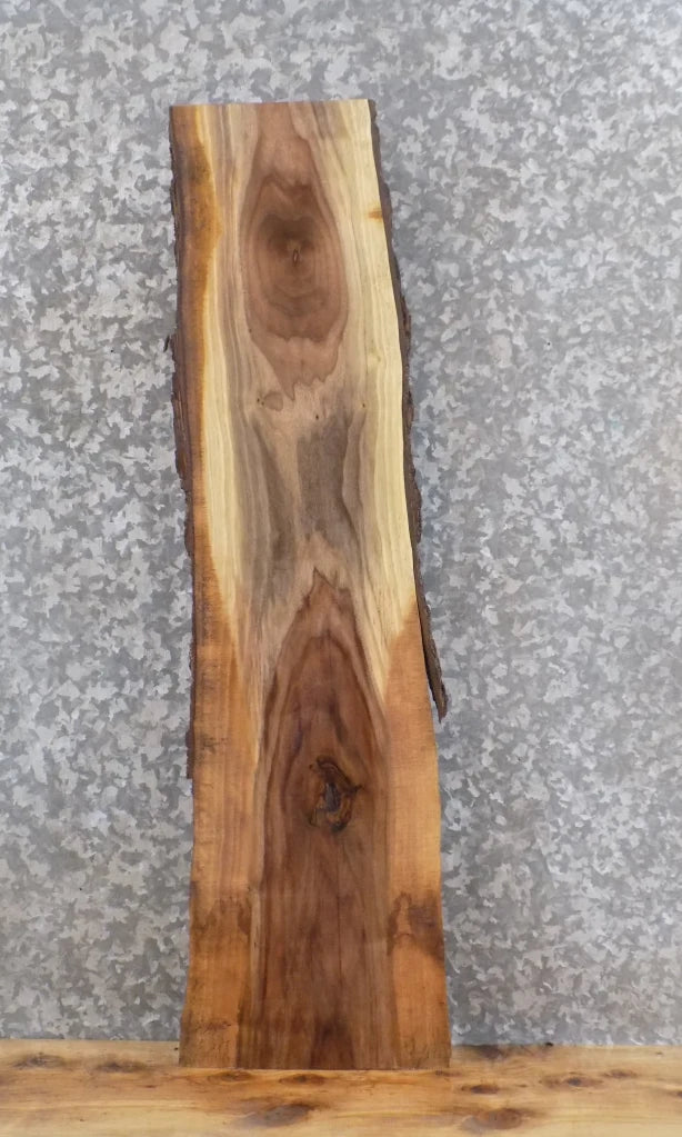 Live Edge Black Walnut Salvaged Bar Top/Mantle Slab 1502