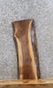 Thumbnail for Live Edge Black Walnut Wall Shelf/End/Accent Table Top Slab 1519