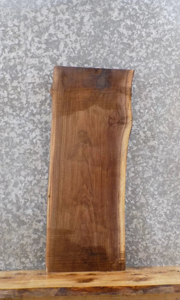 Live Edge Black Walnut Wall Shelf/End/Accent Table Top Slab 1519