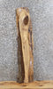 Thumbnail for Live Edge Black Walnut Mantle/Bar Top/Wall Shelf Slab 1526
