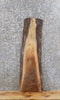 Thumbnail for Live Edge Black Walnut Mantle/Wall Shelf/Bar Top Slab 1527