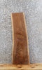 Thumbnail for Live Edge Black Walnut Mantle/Wall Shelf/Bar Top Slab 1527