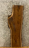 Thumbnail for Live Edge Bark Black Walnut Entry Table/Wall Shelf Wood Slab 1533