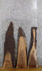 Thumbnail for 3- Live Edge Black Walnut DIY Charcuterie Boards/Craft Pack 1534-1536
