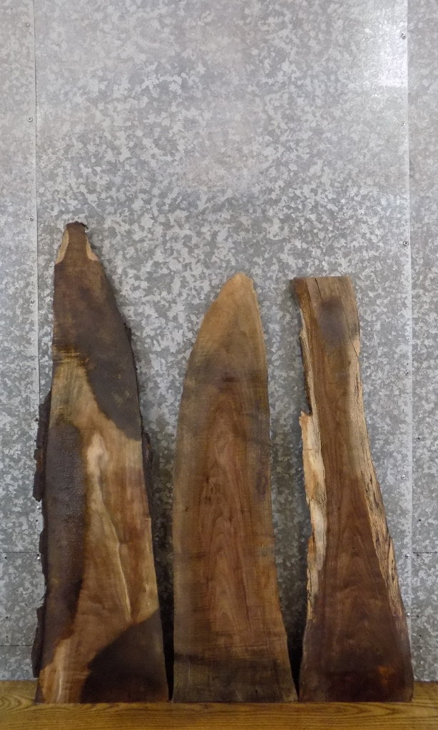 3- Live Edge Black Walnut DIY Charcuterie Boards/Craft Pack 1534-1536