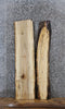 Thumbnail for 2- Spalted Maple Live Edge Taxidermy/Charcuterie/Shelf Slabs 1537-1538