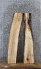 Thumbnail for 2- Spalted Maple Live Edge Shelf/Taxidermy/Charcuterie Slabs 1539-1540
