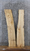 Thumbnail for 2- Spalted Maple Live Edge Shelf/Taxidermy/Charcuterie Slabs 1539-1540