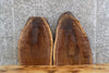Thumbnail for 2- Black Walnut Coffee/End/Accent Table Top Slabs CLOSEOUT 1543-1544