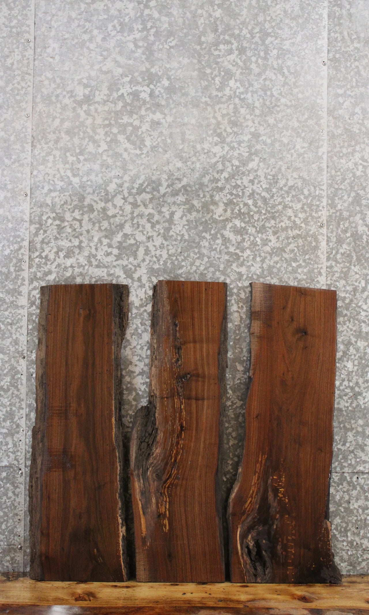 3- Rustic Black Walnut Live Edge Taxidermy Wood Slabs 1551-1553