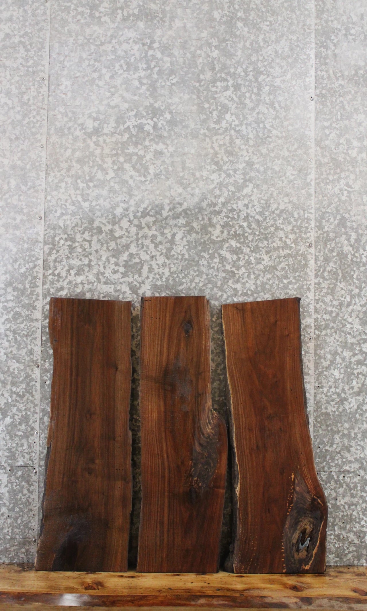 3- Rustic Black Walnut Live Edge Taxidermy Wood Slabs 1551-1553