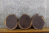 Thumbnail for 3- Round Cut Rustic Live Edge Black Walnut Centerpiece Slabs 15510-15512