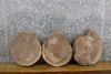 Thumbnail for 3- Round Cut Rustic Live Edge Black Walnut Centerpiece Slabs 15510-15512