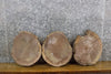 Thumbnail for 3- Round Cut Rustic Live Edge Black Walnut Centerpiece Slabs 15510-15512