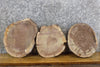 Thumbnail for 3- Round Cut Live Edge Black Walnut Salvaged Craft Pack Slabs 15523-15525