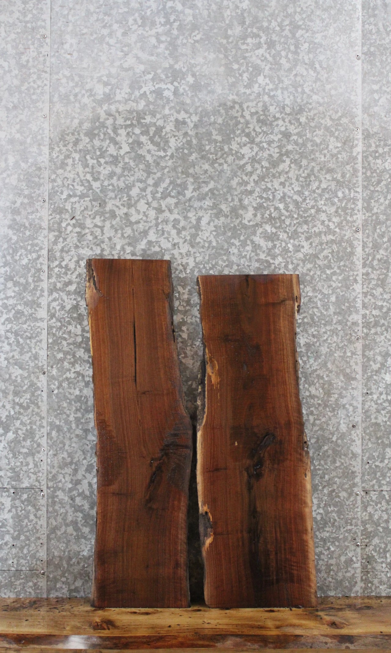 2- Black Walnut Rustic Charcuterie/Taxidermy Slabs 1556