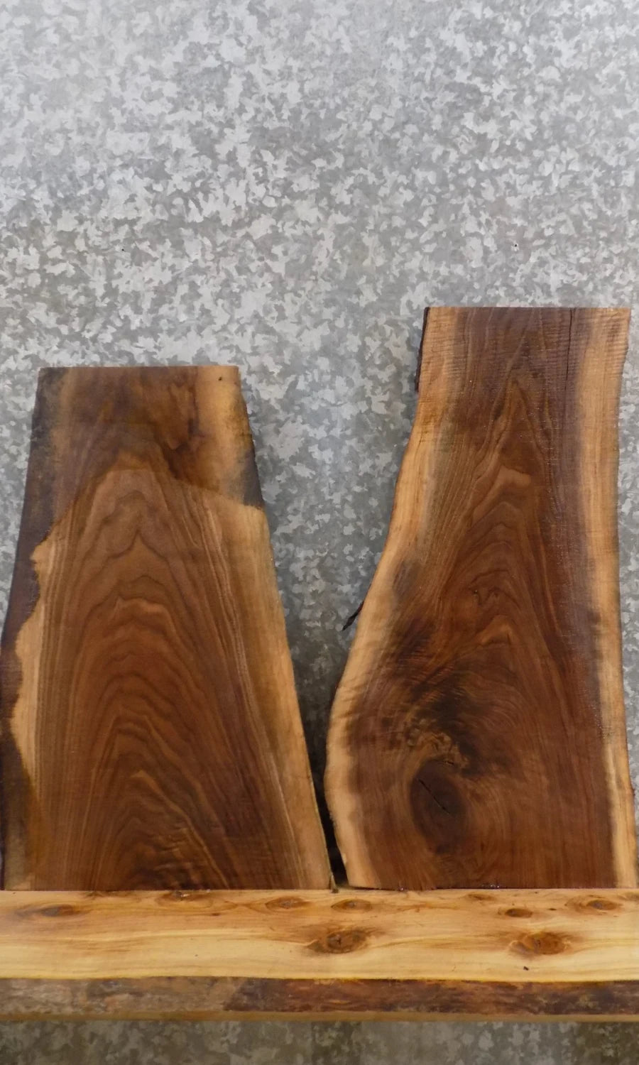 2- Live Edge Black Walnut Charcuterie Board/Taxidermy Mount Slabs 1557-1558