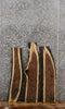 Thumbnail for 3- Black Walnut Rustic Live Edge Taxidermy Wood Slabs 1563-1565