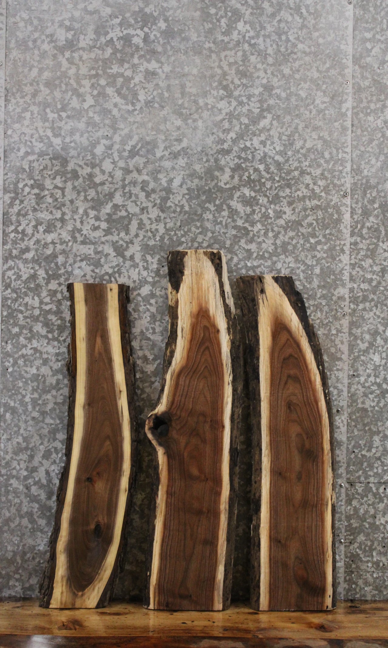 3- Black Walnut Rustic Live Edge Taxidermy Wood Slabs 1563-1565