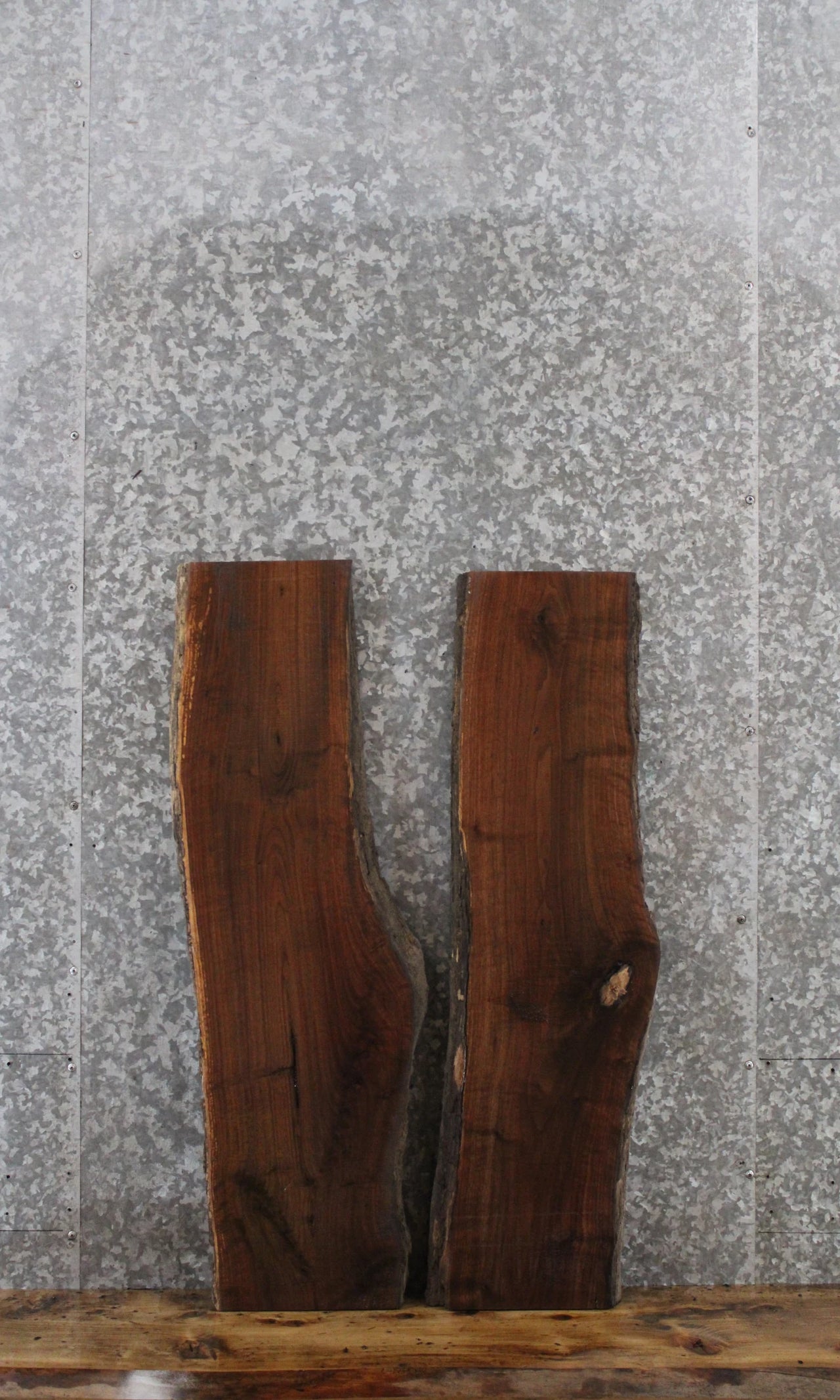 2- Black Walnut Rustic Taxidermy Slabs 1574