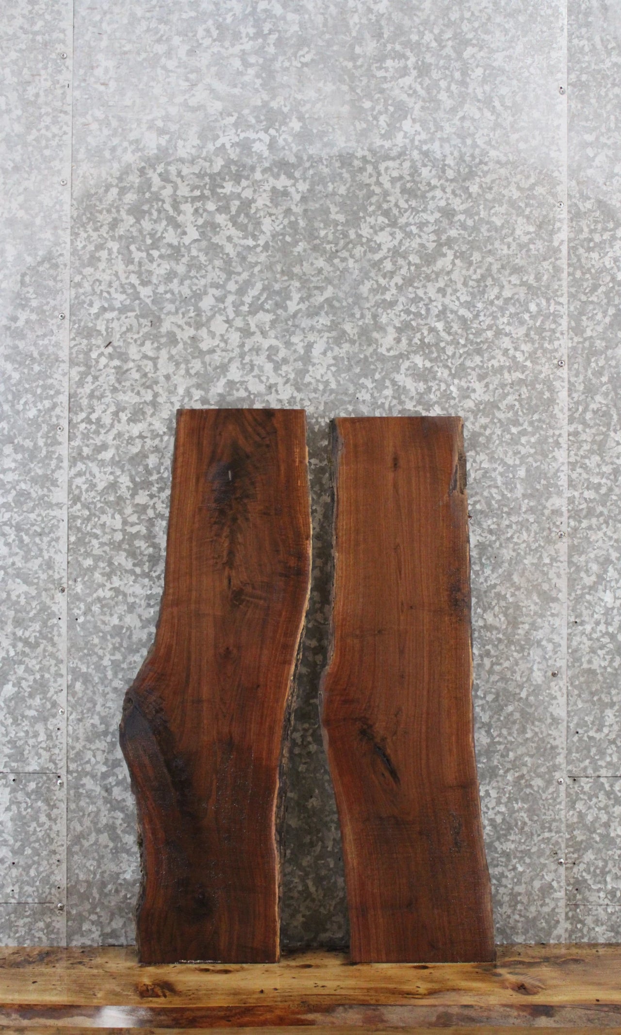 2- Black Walnut Rustic Taxidermy Slabs 1574