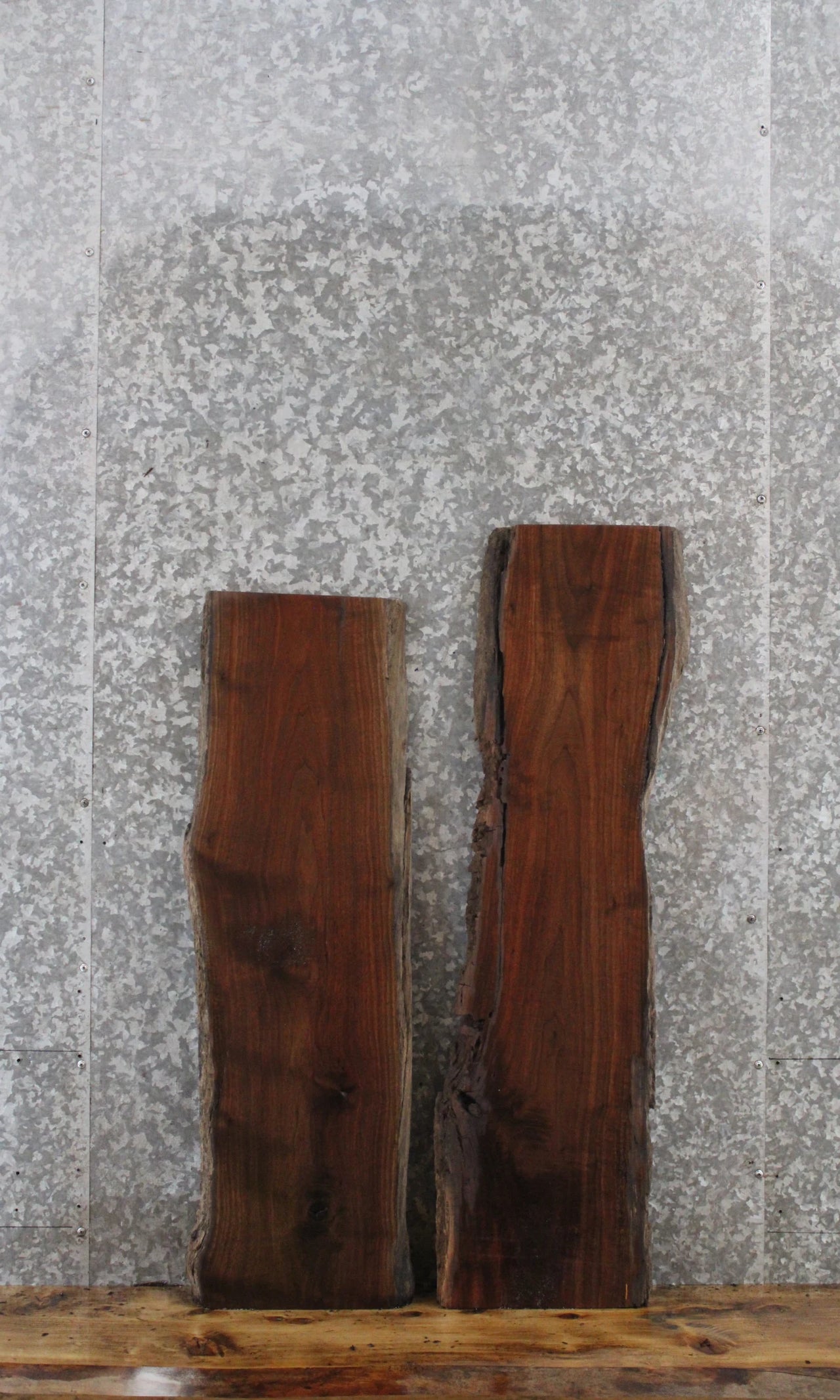 2- Black Walnut Rustic Taxidermy Slabs 1575
