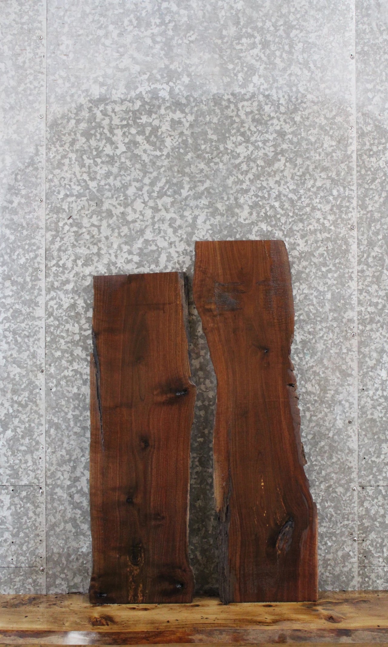2- Black Walnut Rustic Taxidermy Slabs 1575