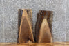 Thumbnail for 2- Black Walnut Taxidermy Mount/End Table Top Slabs CLOSEOUT 1877-1878